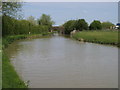 Oxford Canal Walk