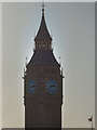 TQ3079 : Elizabeth Tower, London SW1 by Christine Matthews