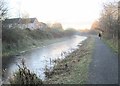 Dog-walking by a frozen Union Canal