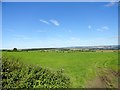 Looking north from the old lead road