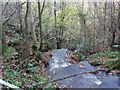 Above the Linn Burn Waterfall