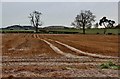 Stubble by the A76