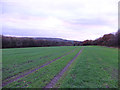 Field between Calico Wood and Hullet Hole Wood, Shevington Vale