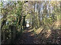 SJ8749 : Path below hill at Sneyd Hill Park by Jonathan Hutchins