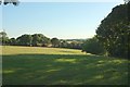 Field near Tregonian