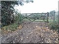 Field entrance by Old Reigate Road, Brockham