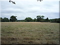 Farmland off Coopers Lane