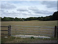 Field entrance off Robins Nest Hill