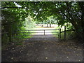 Gated farm track, Letty Green