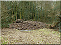 Pond dredgings, Coulsdon Common