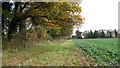 Public footpath to Pockthorpe