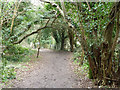 Path from Caterham Drive to Waterhouse Lane