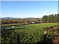 Grazing sheep on farmland separating Upper Knockbarragh Road and Levallyreagh Road