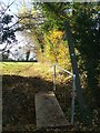 Winter Sun And Footbridge