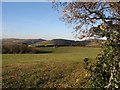 Pasture above Bryn-ffanigl Uchaf