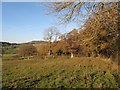 Autumn fields, Ffynhonnau