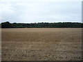 Stubble field off Orchard Road