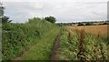 Farm track, Detton