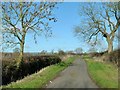 Welby Lane near Ab Kettleby