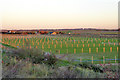 Horse paddocks, Plum Pudding Island