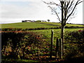 Garvallagh Townland