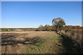 Farmland north of Walters Ash