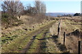 Track next to bird nesting area, Garn Lakes LNR