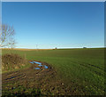 TM3672 : Farmland off Peasenhall Road by Geographer