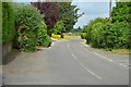 Road through Westerton