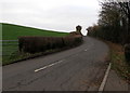 Hedge-lined road in rural Monmouthshire