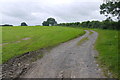 Track on the Mendips