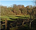 Wooded ridge above Southcott Farm