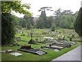 Raining in the Cemetery