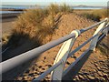 Marram Grass and Sand Dune