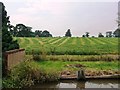 SJ6255 : Mown grass drying in a field near Hurleston by Christine Johnstone