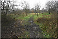 Muddy path near Ellesmere Park