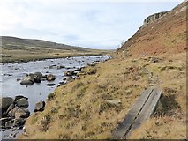 NY8228 : Pennine Way beside the River Tees by Oliver Dixon