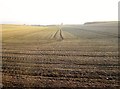 TA1069 : Low  morning  sun  on  a  frosted  Wolds  landscape by Martin Dawes
