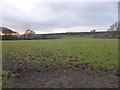 Farmland near Bodorgan