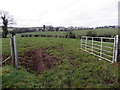 An open field, Raveagh