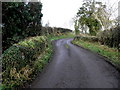 Small bridge along Raveagh Road