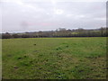 Farmland near Llangefni