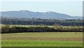 The Malvern Hills