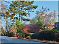 Heads Lane, Hessle, Yorkshire