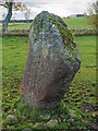 NH7947 : Dalgrambich Standing Stone by valenta