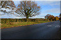 East Devon : Road