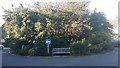 Roundabout on Brookland Rise, Hampstead Garden Suburb