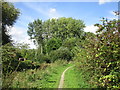 The Grantham Canal near Canal Cottage