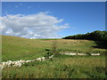 Drystone wall and small dry valley