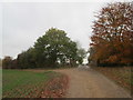 Autumn colours near to Mardocks Farm